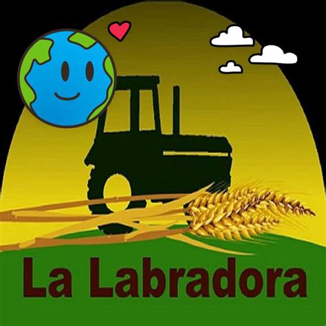 la labradora albacete|La Labradora 